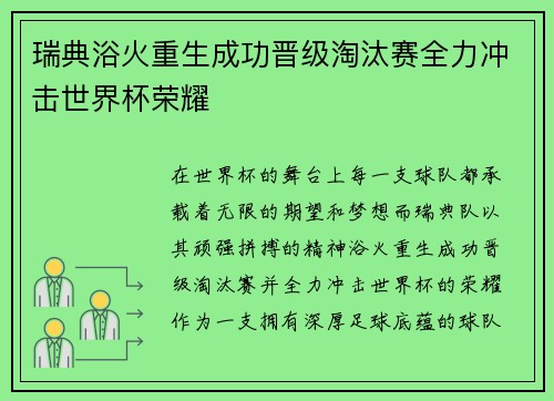 瑞典浴火重生成功晋级淘汰赛全力冲击世界杯荣耀