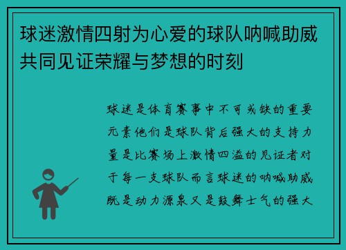 球迷激情四射为心爱的球队呐喊助威共同见证荣耀与梦想的时刻