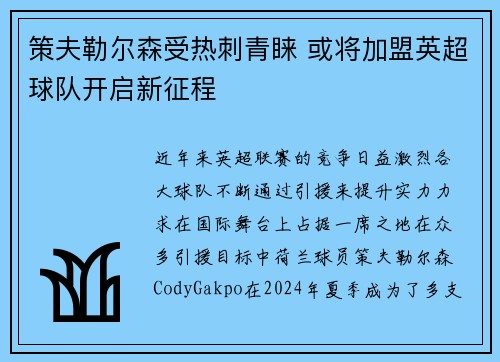 策夫勒尔森受热刺青睐 或将加盟英超球队开启新征程