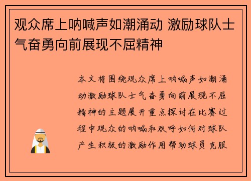 观众席上呐喊声如潮涌动 激励球队士气奋勇向前展现不屈精神